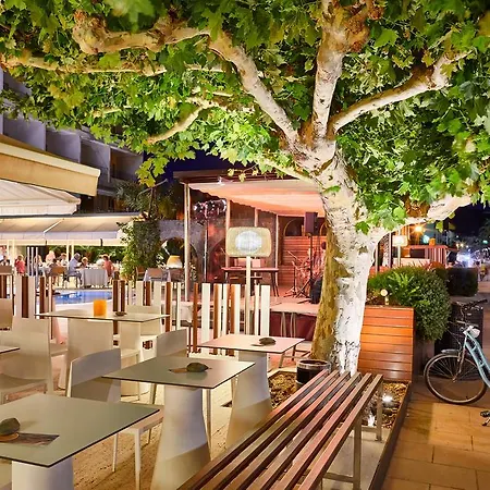 & Terraza 4 Sup Roses
