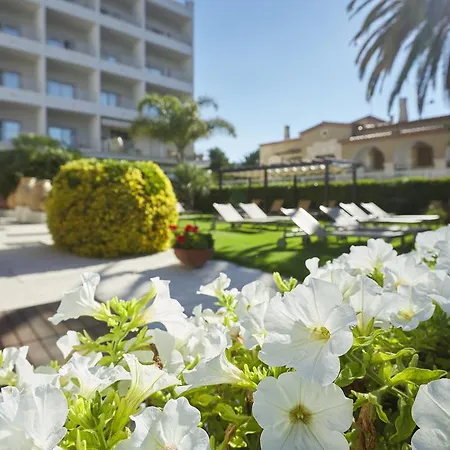 & Terraza 4 Sup 4*